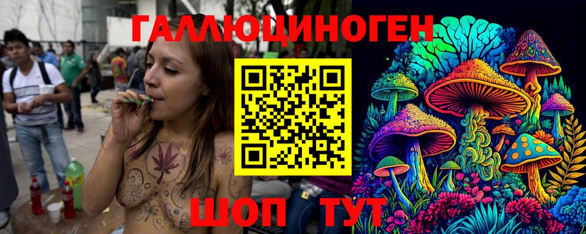 Киселёвск  Галлюциногенные грибы мицелий  Галлюциногенные грибы Psilocybe  Вход с VPN 